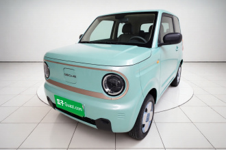 吉利银河 2023款 熊猫mini 200km 耐力熊