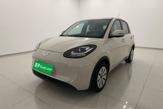 五菱汽车 五菱缤果 2024款 203km 轻享款
