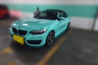 宝马2系(进口) 2019款 225i 敞篷轿跑车 运动设计套装