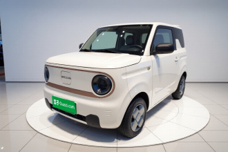 吉利银河 2023款 熊猫mini 120km 超萌熊
