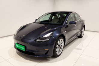 特斯拉 Model 3 2019款 标准续航后驱升级版