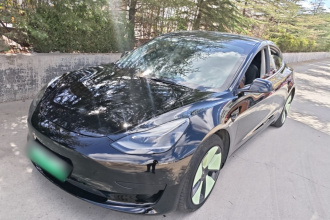 特斯拉 Model 3 2021款 改款 标准续航后驱升级版 3D1