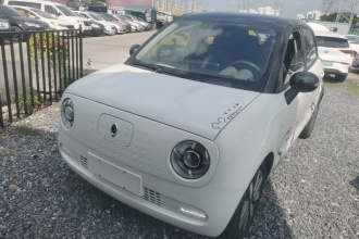欧拉黑猫 2021款 351km 标准型