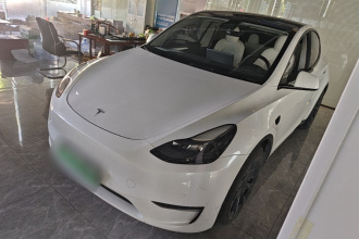 特斯拉 Model Y 2021款 长续航全轮驱动版