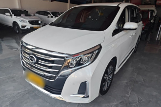 广汽传祺 传祺M8 2020款 领航款 390T 尊贵版