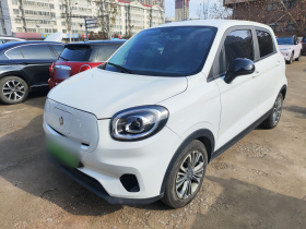 零跑汽车 零跑T03 2024款 310舒享版