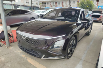 五菱汽车 五菱星光 2023款 150 进阶版