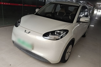 五菱汽车 五菱缤果 2023款 333km 快享款