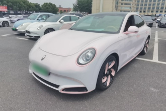 欧拉闪电猫 2022款 555km 尊贵版