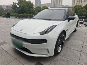 极氪001 2021款 超长续航双电机 YOU版