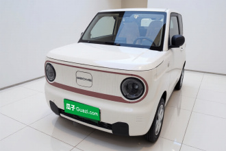 吉利银河 2024款 熊猫mini 200km 耐力熊
