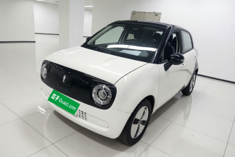 欧拉黑猫 2022款 改款 301km 萌宠版 磷酸铁锂