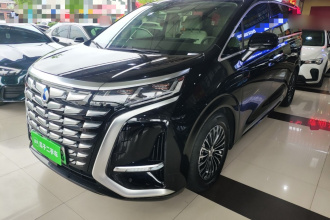 腾势D9 2024款 DM-i 970 豪华型