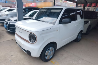 吉利银河 2024款 熊猫mini 200km 龙腾PRO版