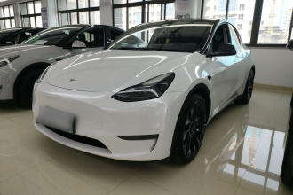 特斯拉 Model Y 2024款 Performance高性能版