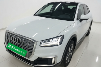 奥迪Q2L e-tron 2019款 Q2L e-tron 纯电智享型