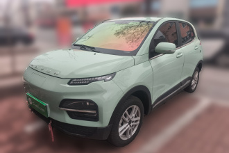 大运 悦虎 2023款 300 标准版