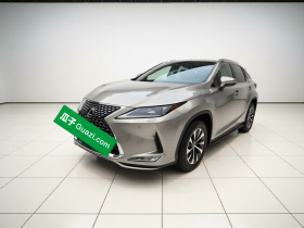 雷克萨斯RX 2020款 改款 300 两驱精英版