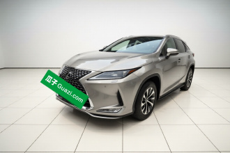 雷克萨斯RX 2020款 改款 300 两驱精英版