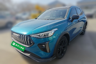 哈弗赤兔 2021款 激擎版 1.5T 铂金兔