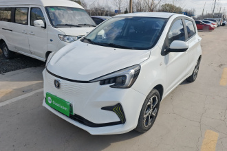 长安欧尚 奔奔E-Star 2020款 心动版 三元锂