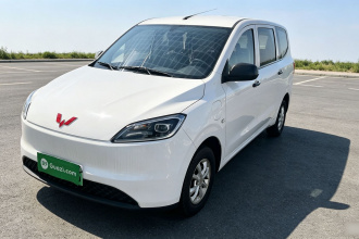 五菱汽车 五菱宏光新能源 2024款 纯电版 300KM 标准型