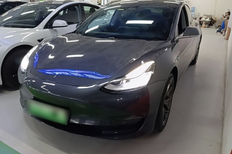 特斯拉 Model 3(进口) 2019款 长续航后驱版