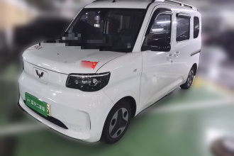 五菱汽车 五菱之光新能源 2025款 305km 进取型