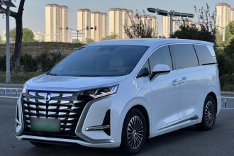 腾势D9 2022款 DM-i 1040 尊贵型
