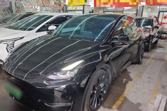 特斯拉 Model Y 2023款 高性能全轮驱动版