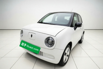 欧拉黑猫 2021款 301km 基础型