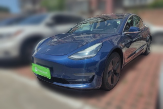 特斯拉 Model 3(进口) 2019款 长续航后驱版
