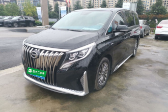 广汽传祺 传祺M8 2023款 大师系列 390T 至尊版