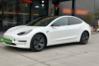 特斯拉 Model 3(进口) 2019款 长续航后驱版