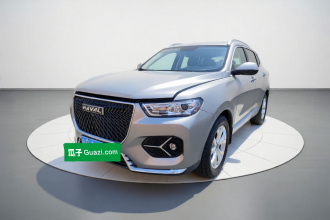 哈弗H6 2021款 1.5T 自动都市版