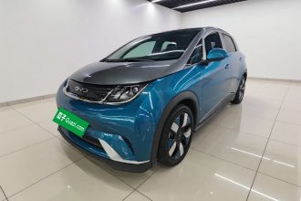 比亚迪 海豚 2021款 401km 骑士版