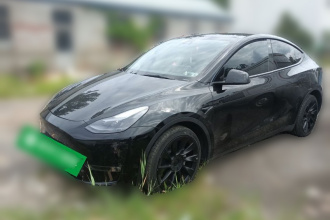 特斯拉 Model Y 2021款 标准续航后驱版