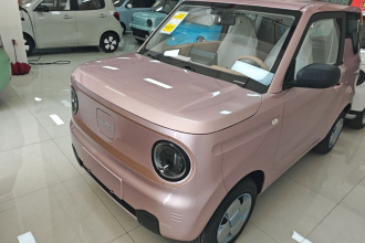 吉利银河 2024款 熊猫mini 200km 耐力熊