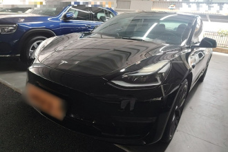 特斯拉 Model 3 2022款 Performance高性能全轮驱动版