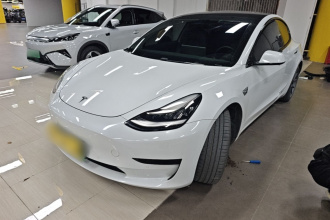 特斯拉 Model 3 2020款 标准续航后驱升级版