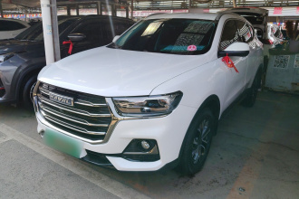 哈弗H6 2021款 国潮版 1.5T 自动都市版