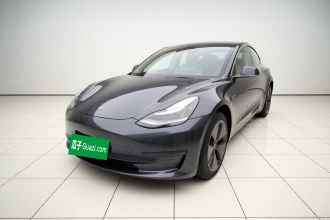 特斯拉 Model 3 2019款 标准续航后驱升级版