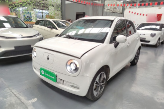 欧拉黑猫 2021款 351km 豪华型