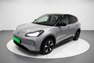 五菱汽车 五菱缤果PLUS 2024款 330km 五座版