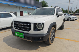 哈弗大狗 2021款 1.5T DCT两驱边牧版