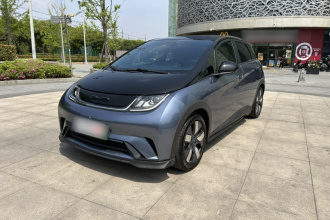 比亚迪 海豚 2023款 401km 骑士版