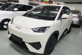 比亚迪 海鸥 2025款 智驾版 305km 活力版