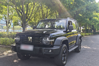 坦克300 2025款 2.4T 柴油版