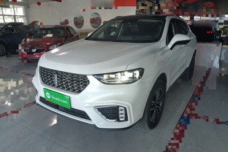 魏牌 VV5 2021款 1.5T 两驱智先锋