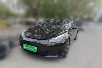 特斯拉 Model 3 2021款 标准续航后驱升级版 3D6